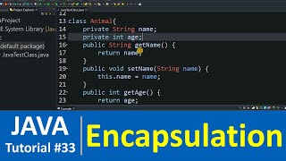 Java Tutorial 33  Encapsulation and Data Hiding in Java Programming OOPS [upl. by Filberte429]