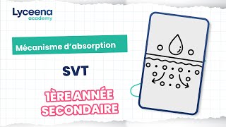 1ère année secondaire  Sciences  Mécanisme dabsorption [upl. by Ybab]