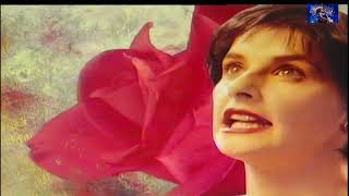 Enya  Orinoco Flow（1988） [upl. by Iniretake718]