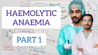 HAEMOLYTIC ANAEMIA hematology anemia [upl. by Stutzman]