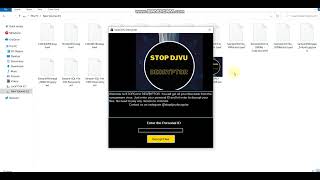 How to decrypt tywd ransomware files and remove virus  TYWD TYCX Decryptor  STOP DJVU DECRYPTOR [upl. by Radbourne617]