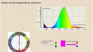 Solutions colorées et absorbance [upl. by Llenrahs]