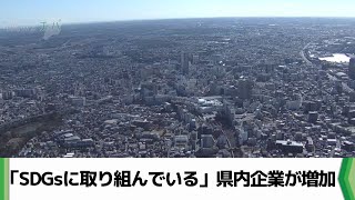 「SDGsに取り組んでいる」 県内企業が増加 取り組みへの二極化が進む（20240916放送） [upl. by Port204]