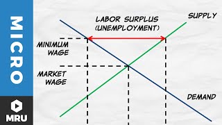 Price Floors The Minimum Wage [upl. by Vina]