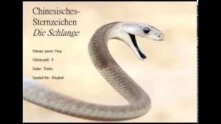 Chinesisches Sternzeichen die Schlange🐍 und ihre Eigenschaften Die Schlange wirkt sehr rätselhaft [upl. by Nabru770]