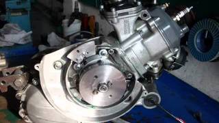 VESPA ROTAX GP ULTIMATEwmv [upl. by Nomma]