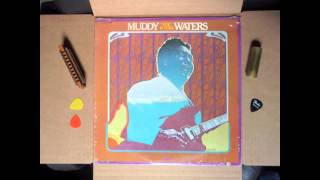 Muddy Waters quotTrouble No Morequot 1974 [upl. by Nyladam]