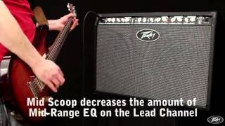 Peavey TransTube Special 212 Guitar Combo Amp at Soundsliveshopcom [upl. by Ares]