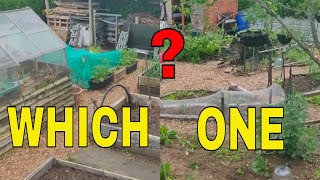 RAISED BEDS OR NO DIG  ALLOTMENT GARDENING FOR BEGINNERS [upl. by Eiramait]