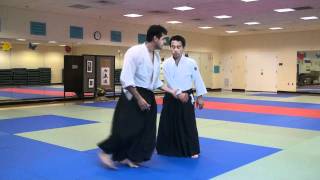 Yoshi Shibata  Katatedori Variations [upl. by Jenks]