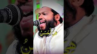 Discover Qari Saeed ul Islams Beautiful Quran Recitation tilawat [upl. by Nottage584]