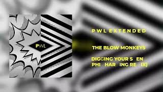 The Blow Monkeys  Digging Your Scene Phil Harding Remix [upl. by Orlanta32]