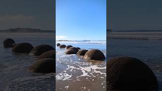 Moeraki Boulders Dunedin shortsvideo shorts shortsviral dunedin geologicalwonders ✨ [upl. by Ycal213]