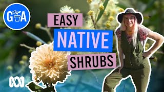 Native Shrubs for Small Spaces  Australian Native Plants  Gardening Australia [upl. by Anilatsyrc97]