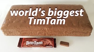 GIANT TIM TAM RECIPE by Ann Reardon How To Cook That ft Jessica Watson [upl. by Sennahoj104]