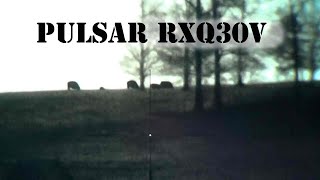 Pulsar RXQ30V Thermal Weapon Sight Unboxing and Overview [upl. by Schultz969]