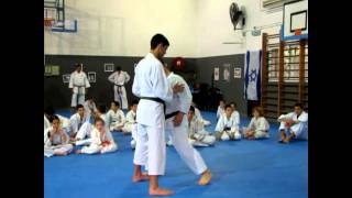 Shotokan Kumite  Short Distance Kicking  Masao Kagawa Sensei [upl. by Aztirak]