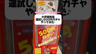 【大井競馬場運試し500円ガチャやってみた🐎💛】大井競馬場 大井競馬 tck 運試し ガチャ ガチャガチャ ガチャ開封 500円ガチャ開封動画地方競馬 競馬 競馬女子 [upl. by Anaidirib]