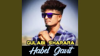 Gulabi Sharara [upl. by Healion]