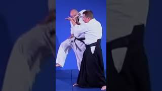 SANKYO VARIATION AIKIDO [upl. by Ladiv]