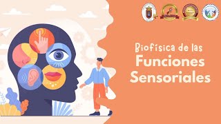 Biofísica de las Funciones Sensoriales  Premédico 2024 UniPamplona [upl. by Elttil443]