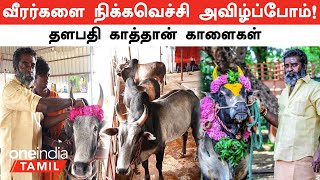 Jallikattu மாடுபிடி வீரர்களுக்கு சவால் விட்ட Lalgudi தளபதி காத்தான்  Oneindia Tamil [upl. by Inness]