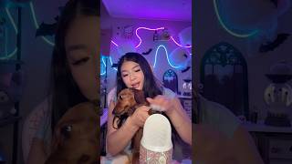 Real or Fake🐶 asmr shorts [upl. by Derril]