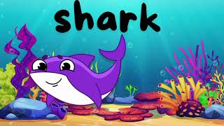 Top sea animals Trends This Year  kids tube kt [upl. by Aphrodite]