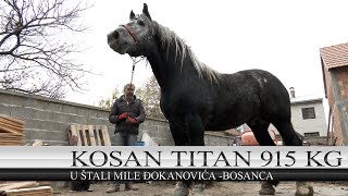 BOSANAC KUPIO OPASNOG TITANA OD 915 KG [upl. by Kizzee274]