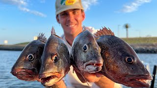 Crazy Mangrove Jack Fishing  Gold Coast [upl. by Delogu]