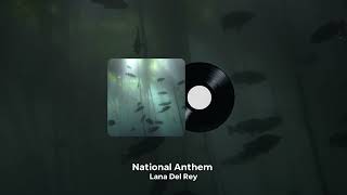 Lana Del Rey  National Anthem Sped Up [upl. by Retep]