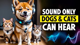 Sound only Dogs and Cats can Hear High Frequency [upl. by Paviour176]