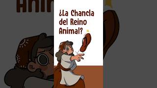 ¿La Chancla del Reino Animal [upl. by Trista492]