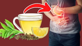 8 Effective Lemon Verbena Tea Benefits [upl. by Slinkman]