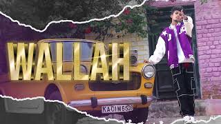 HASSIWALLAH WALLAH REMIX Official Audio [upl. by Eidna]