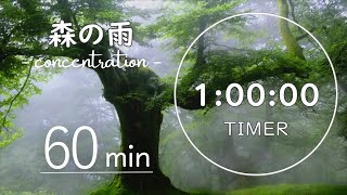 【勉強用 60分タイマー】雨の日は暗記力があがる｜激しい雨音で集中力を高める｜脳を穏やかにして記憶力up [upl. by Lanuk]