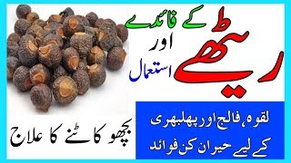 Reetha Ke Fwaid Aur istemal  Soapberry benefits For Health [upl. by Aleacim]