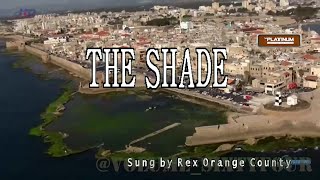 Rex Orange County  THE SHADE  KaraokeLyricsInstrumental [upl. by Prichard]