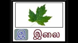 Orumai Panmai  ஒருமை பன்மை  Singular Plural [upl. by Schram]