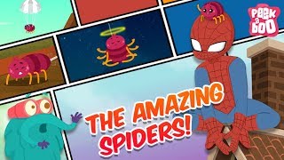 How Amazing Are Spiders  The Dr Binocs Show  Best Learning Videos For Kids  Peekaboo Kidz [upl. by Gnanmos764]