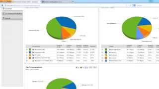 Troubleshoot WAN or VPN issues using NetFort DPI data in SolarWinds views [upl. by Eimme]