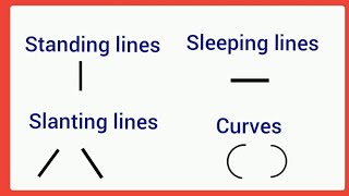 Standing lineSleeping lineSlanting linecurveBasic lines and curve practice in four line book [upl. by Ispep]