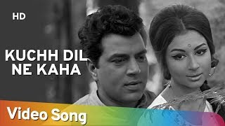 Kuchh Dil Ne Kaha  Dharmendra  Sharmila Tagore  Anupama  Lata  Evergreen Hindi Songs [upl. by Candra]