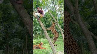 Cheetah Attack a Boy on Tree When he Climb Down 89 Vfx tiger viralvfx leopard [upl. by Hachman305]