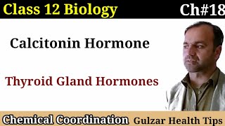 Calcitonin Hormone  Thyroid gland hormones  Class 12th Biology [upl. by Nairadas900]