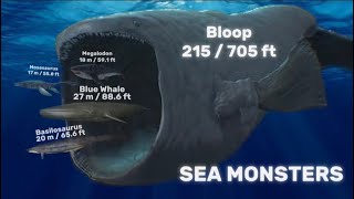 REAL SIZE  COMPARISON of SEA MONSTERS and The Largest Sea Animals  Bloop [upl. by Acir]