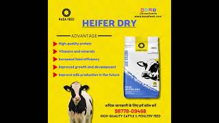 Kasa Heifer Dry Pellet – The Key to Strong amp Healthy Heifers animalfeed kasafeed [upl. by Tung]