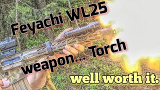 Feyachi WL25 Weapon light [upl. by Vilma369]