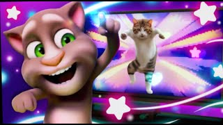 my talking angela 2 angela my talking angela 2 new game my talking angela 2 new song talki [upl. by Anais]