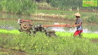 Two Wheel Tractor Yanmar Torque [upl. by Siocnarf]